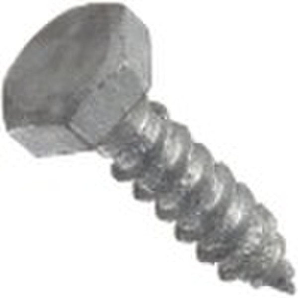 Galvanized Steel Lag Bolt