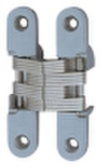 Concealed Hinge