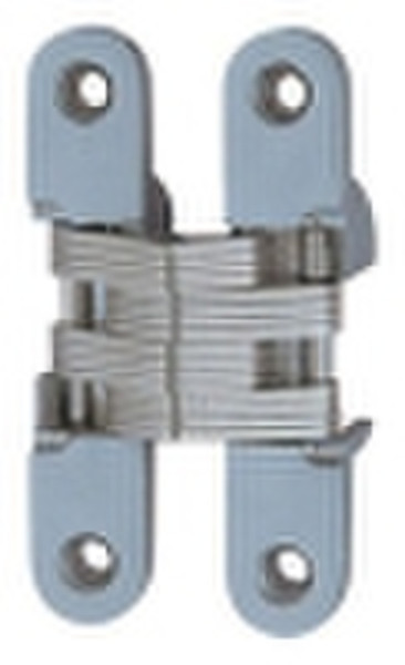Concealed Hinge