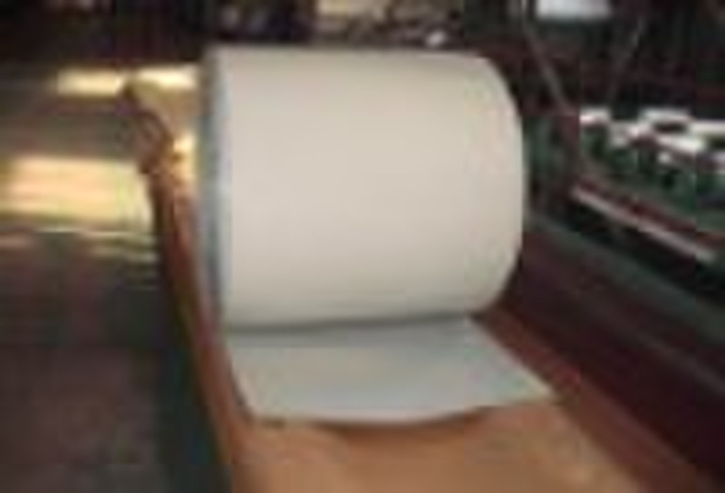 Pre-painted Galvanized steel coils