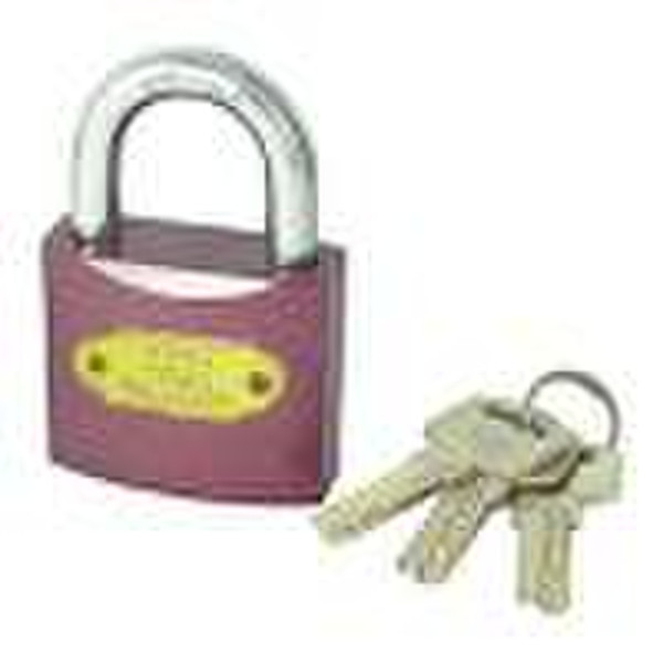 Padlock w/Computer Keys