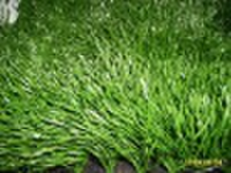 artificial turf (home&garden)