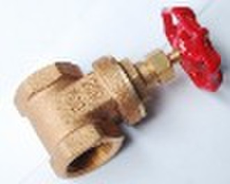 gate valve