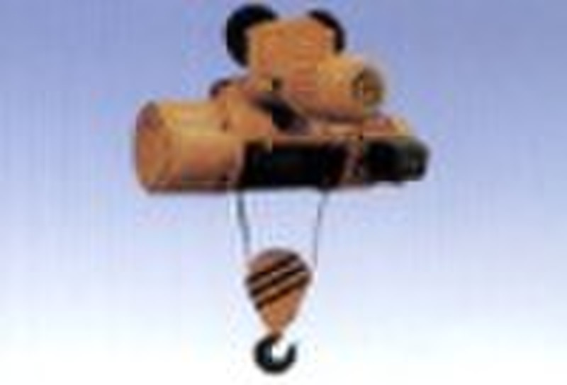 electric hoisting machine