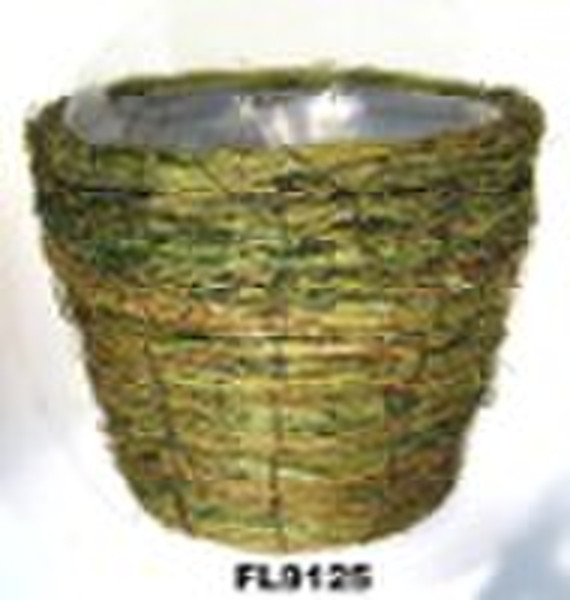 Grass Gardening Flower Pot