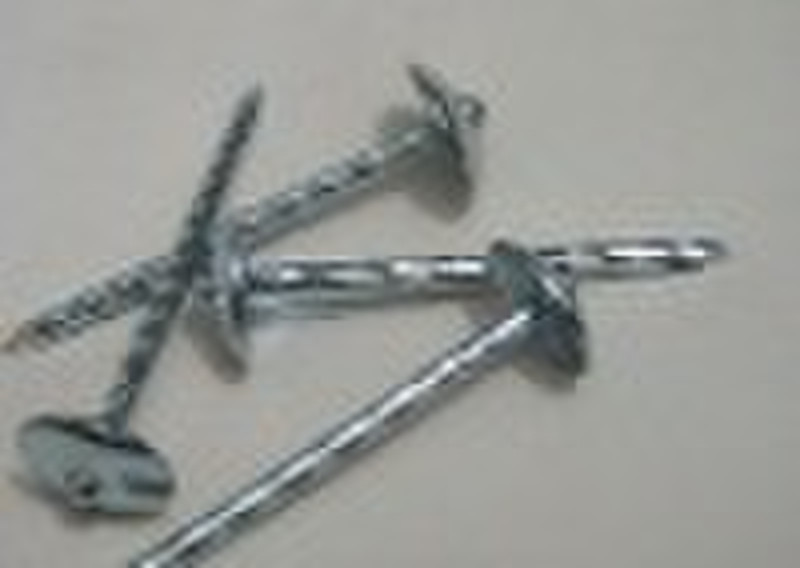 Umbrella  Roofing Nail