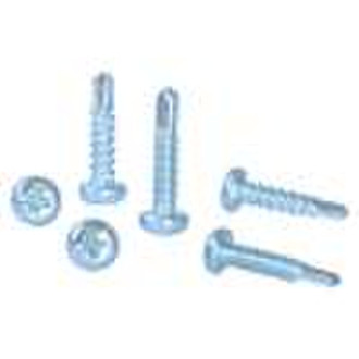 Self-Tapping Screw