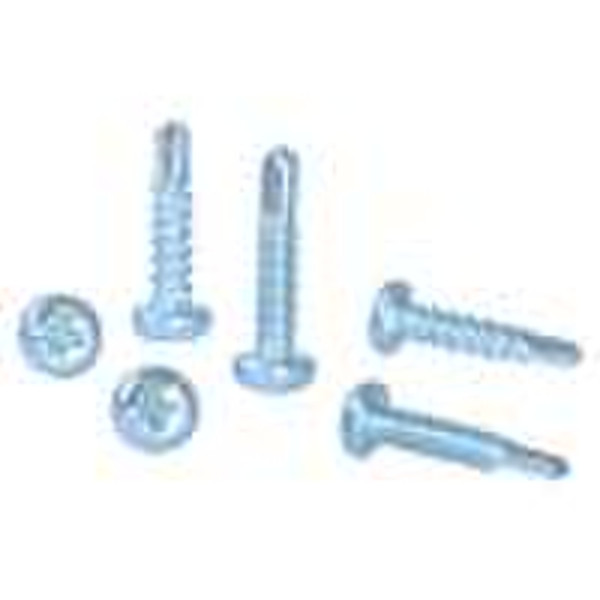 Self-Tapping Screw