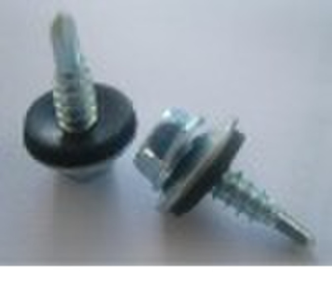 torx screw