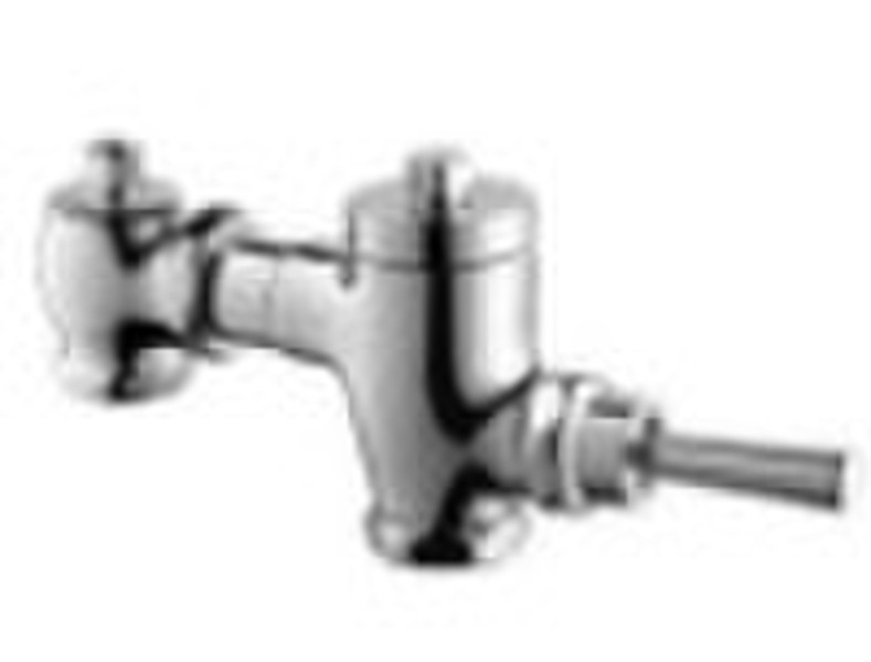 HOT Brass  Flush valve