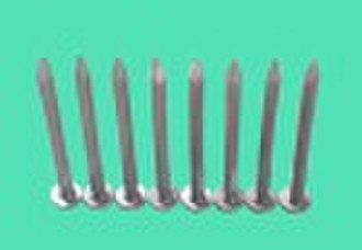 Providing Aluminium Nails from China factory