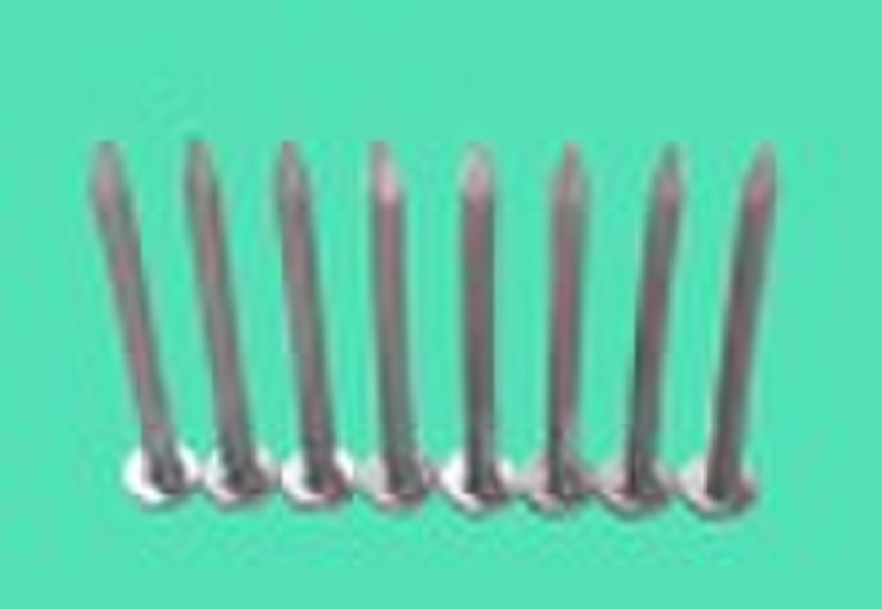 Providing Aluminium Nails from China factory