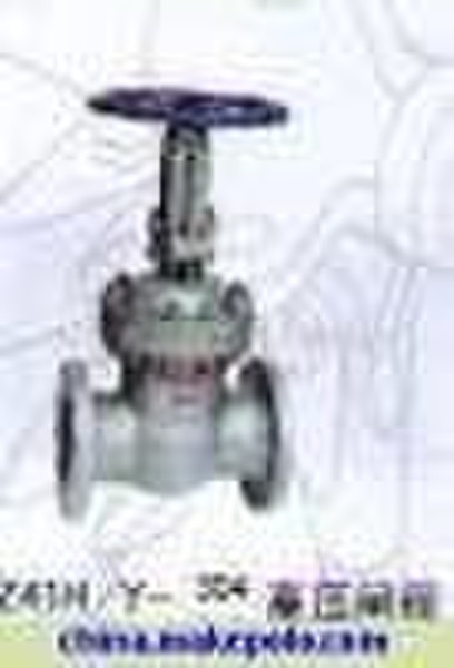 stainless steel valves