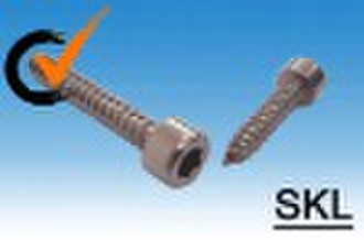 Hex Socket Head Cap Self Tapping Screw