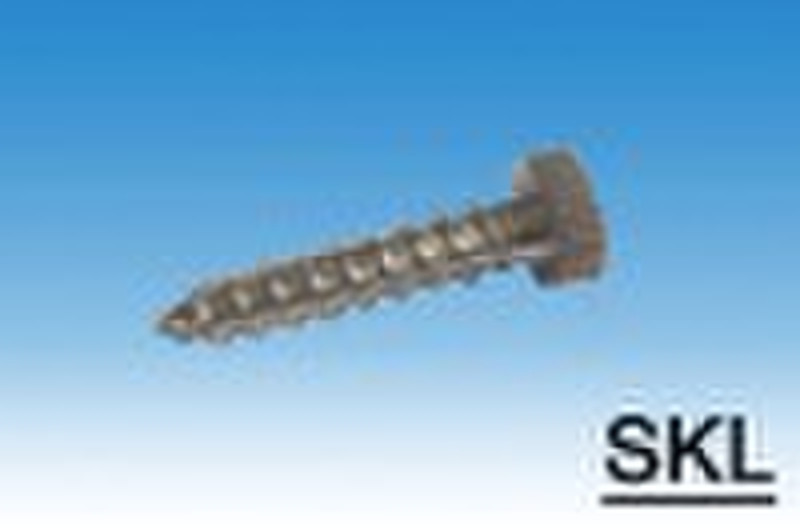 Hex Head Screw