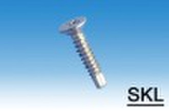 CSK Self Drilling Screw