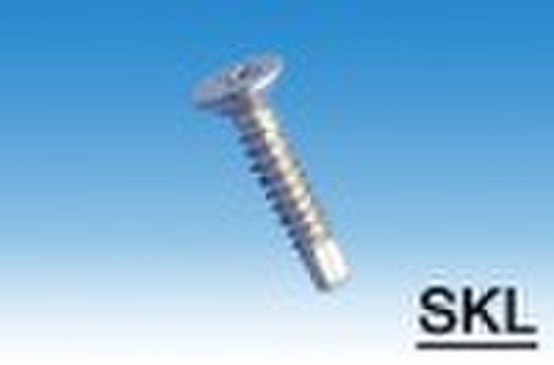 CSK Self Drilling Screw