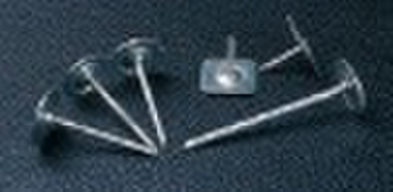 High quality metal cap nail