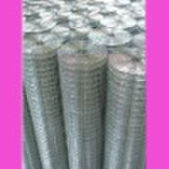 Galvanized Iron Wire Mesh