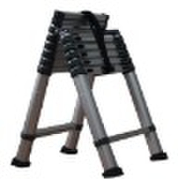 Telescopic Ladder