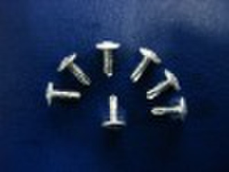 Mushmoon head drill screw