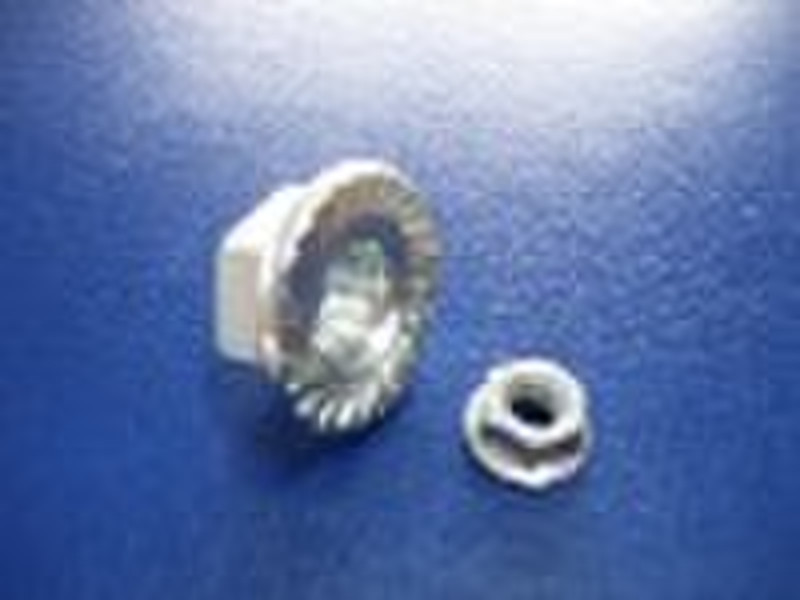 Hex Flange Nut