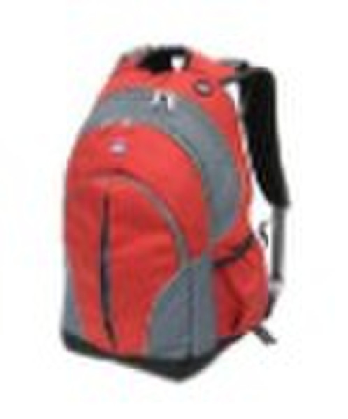 Fashionable Laptop Backpack