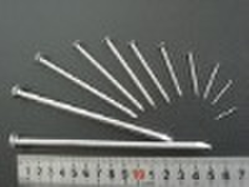 polished common nail, wire nail,round nail, wood n