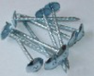 plain shank/twisted shank umbrella head roofing na