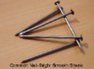COMMON NAIL