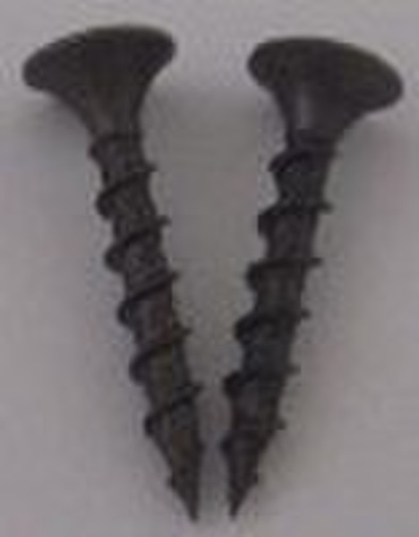 drywall screw