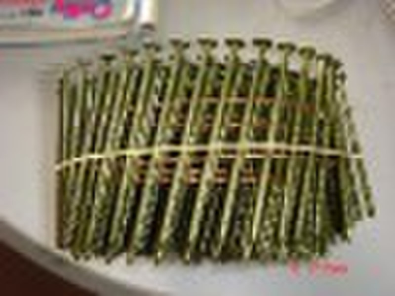 Coil Nail