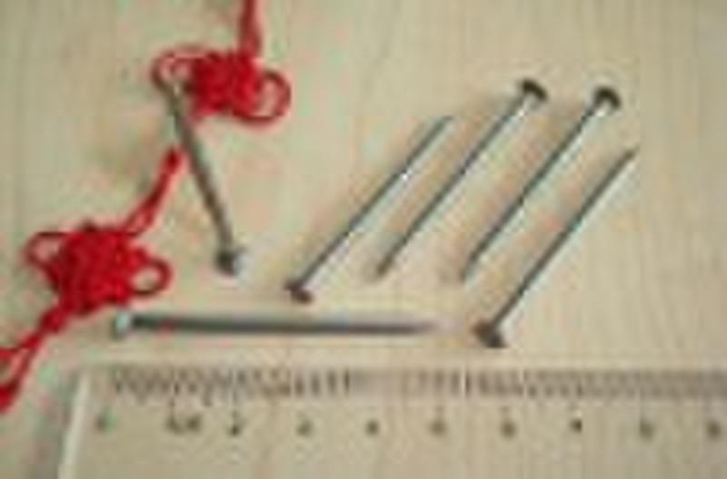 Common iron nail