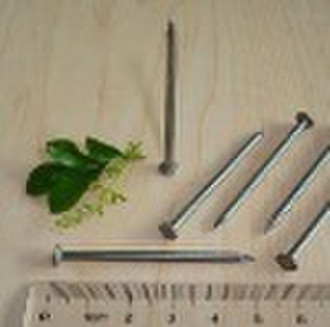 Polishing common nail