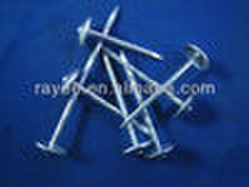 umbrellar head roofing nail