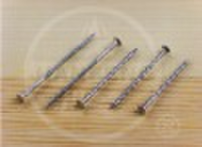 Oval Head Stainless Steel Nail