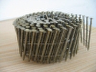 Stainless Steel Coil Nail