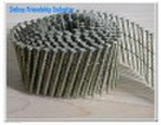Coil Nail