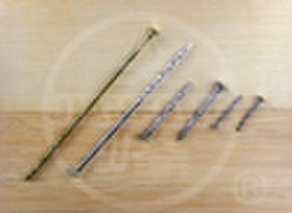 Flat head screw Nail
