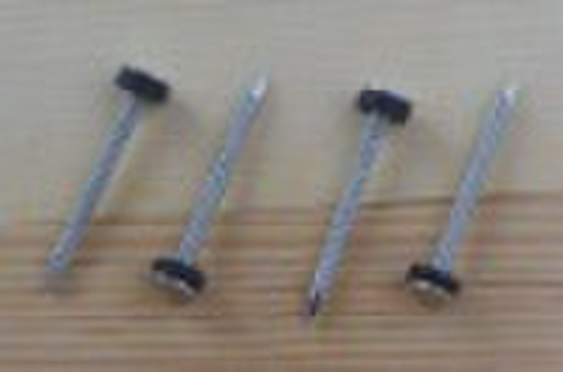 Roofing Nail