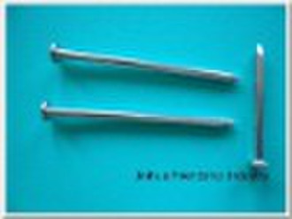 Flat Head Nail