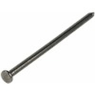 Galvanized common nail