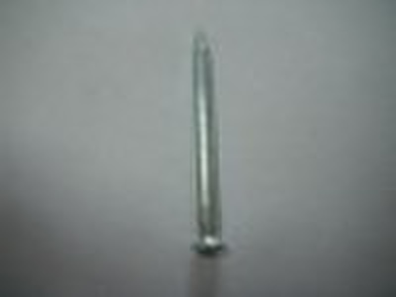 common cement iron nail