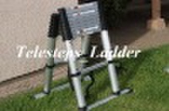 6ft Telescopic ladder