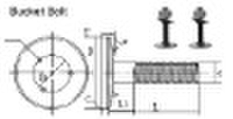 Standard Bolt for Elevator Bucket