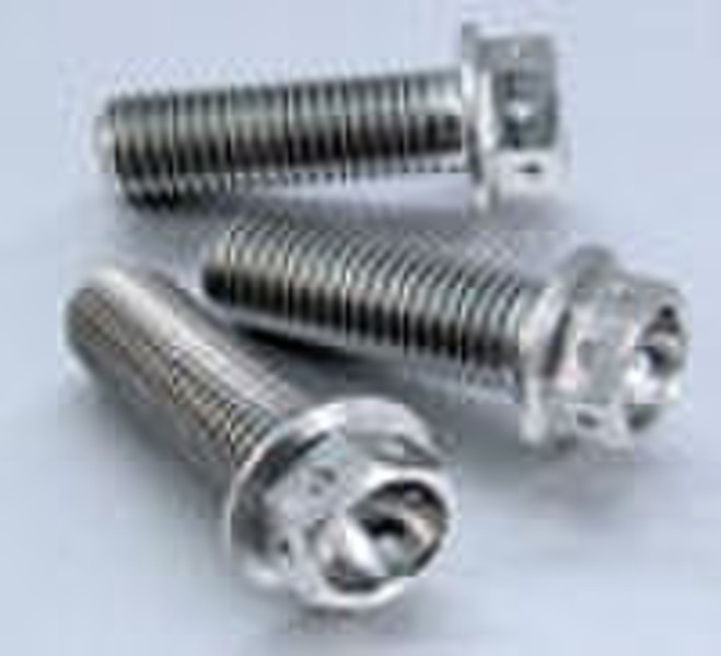 titanium screw bolt