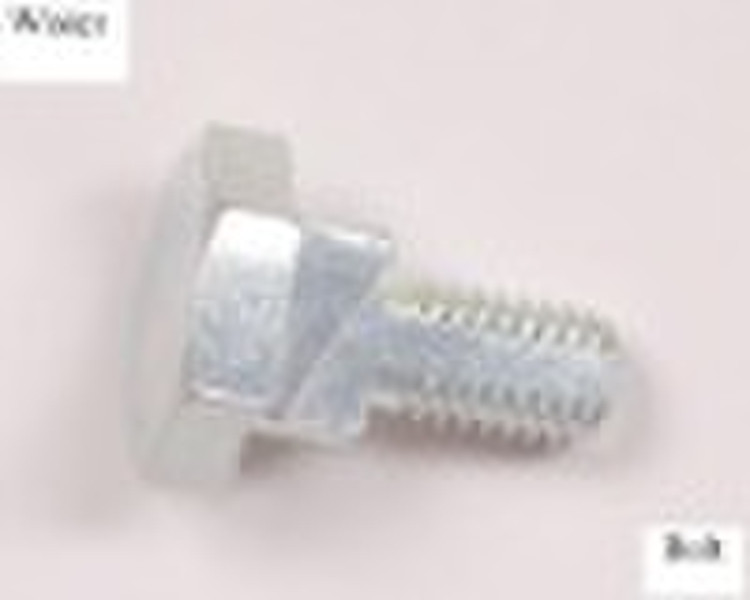 Stainless steel screws