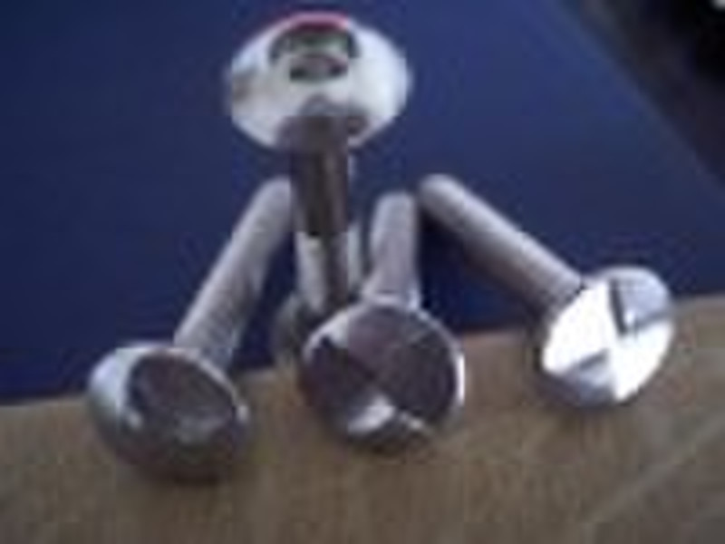 security screw