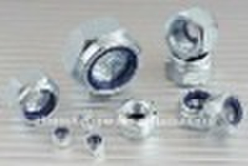 Stainless Steel nylon insert nuts