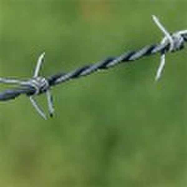 PVC Coated Barbed Wire(Manufacturer and ISO9001:20